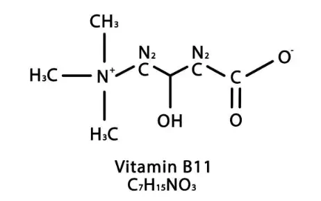 비타민 B 분자구조식