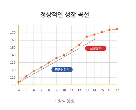 성장적인 성장그래프